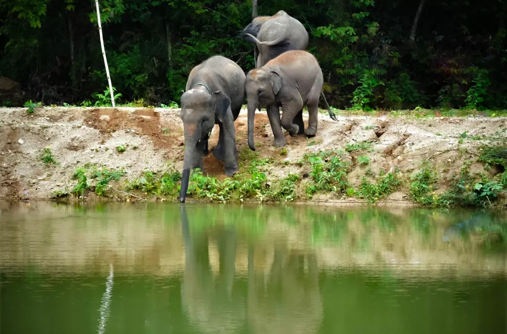 Kerchor Gallery (58)