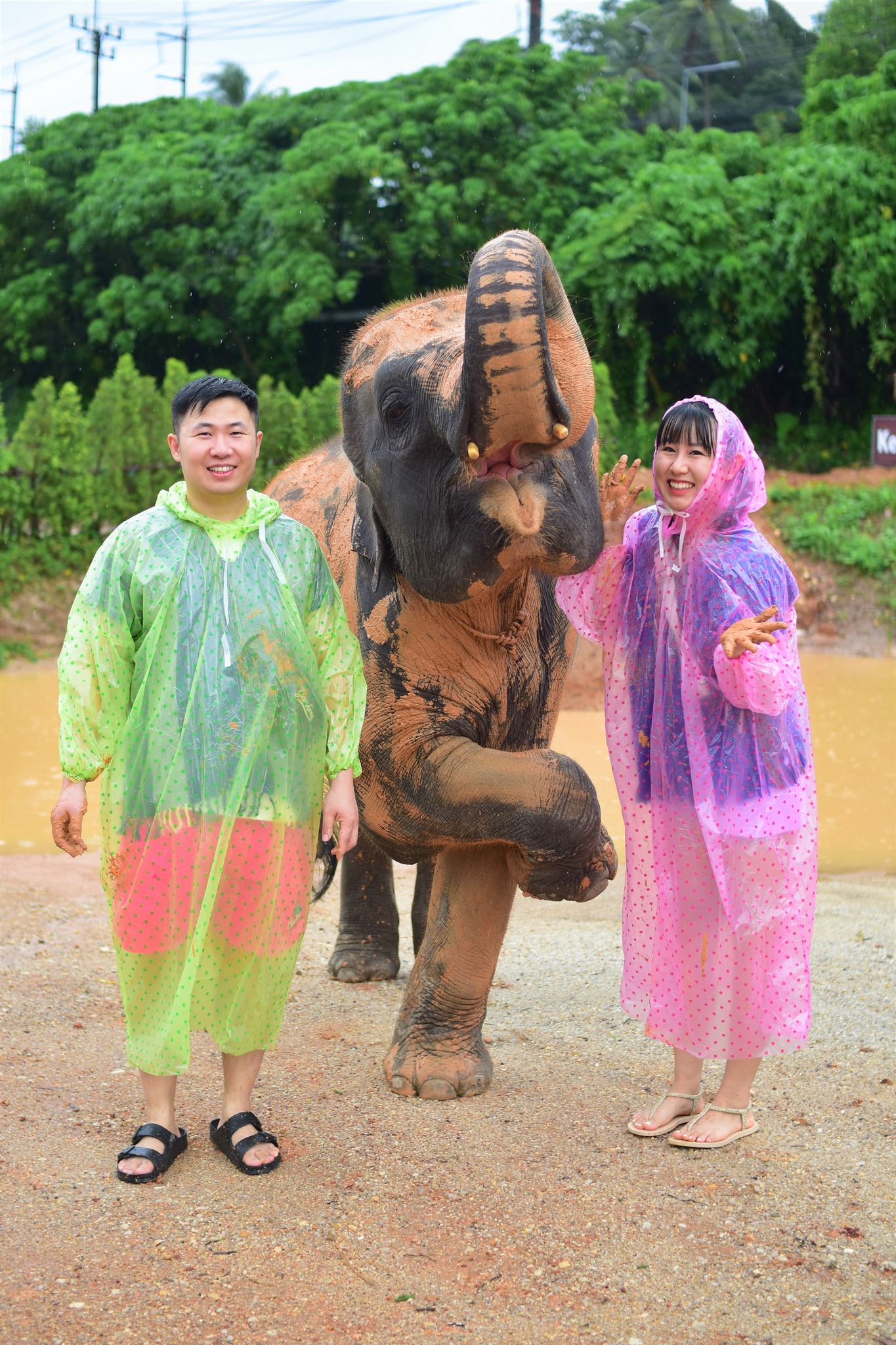 Kerchor Gallery (59)